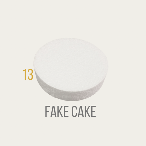 Fake cake thirteen inch single