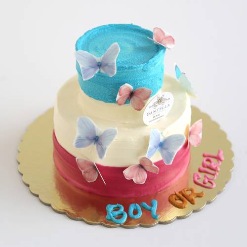 Baby Gender Cake