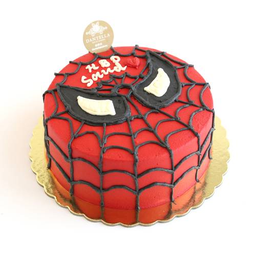 Spiderman Web  Cake