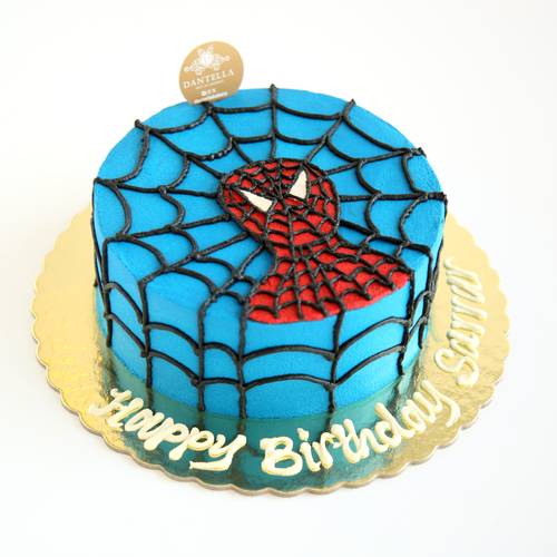 Spider Man  Cake