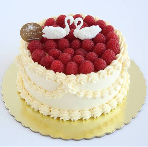 Raspberry Swan Cake