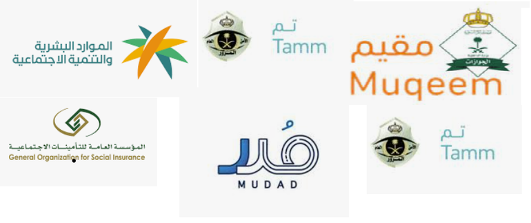 موظف المنصات الحكومية