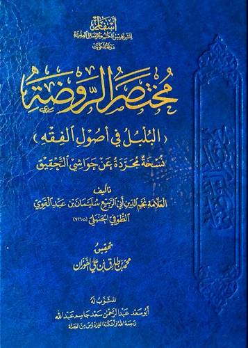 مختصر الروضة ، مجردة الحواشي والتعليقات 