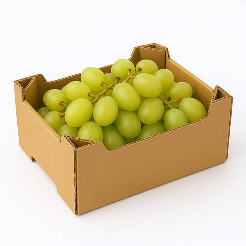 عنب طائفي طازج كرتون صغير