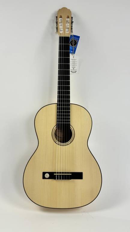 GEWA Classic European Guitar 
