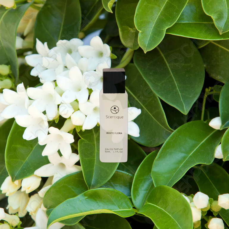 Scentique White Flora