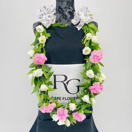 8527-117