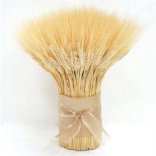 1726