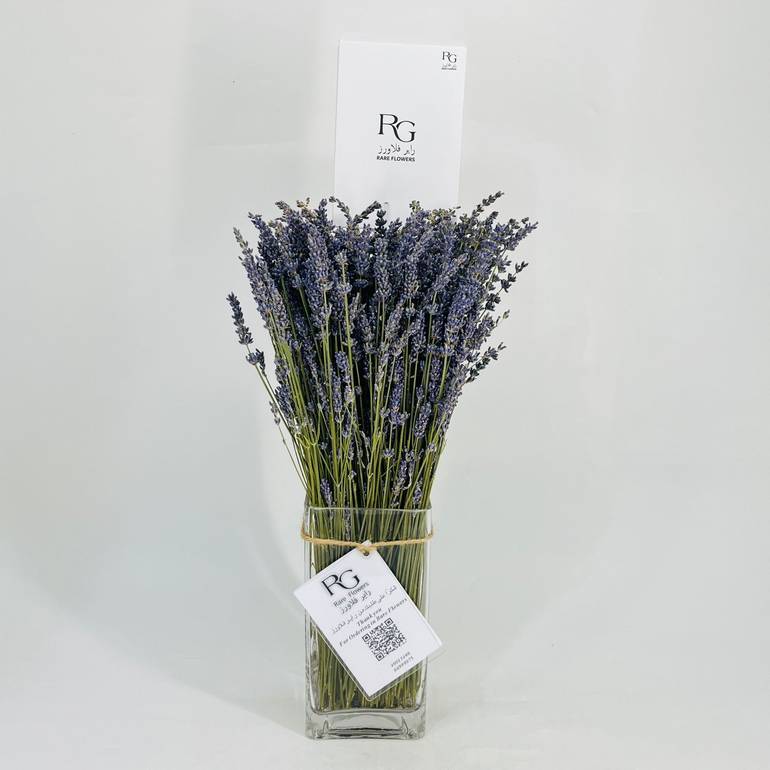 497-597