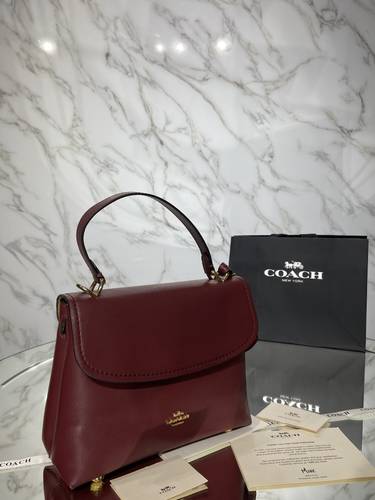 كوتش هاي كوالتي