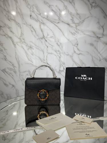 كوتش هاي كوالتي