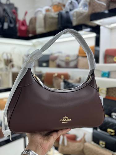 كوتش هاي كوالتي 