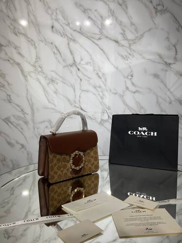 كوتش هاي كوالتي