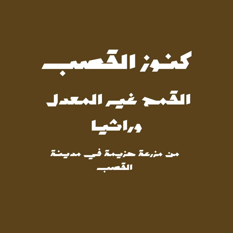 القمح غير المعدل وراثيا