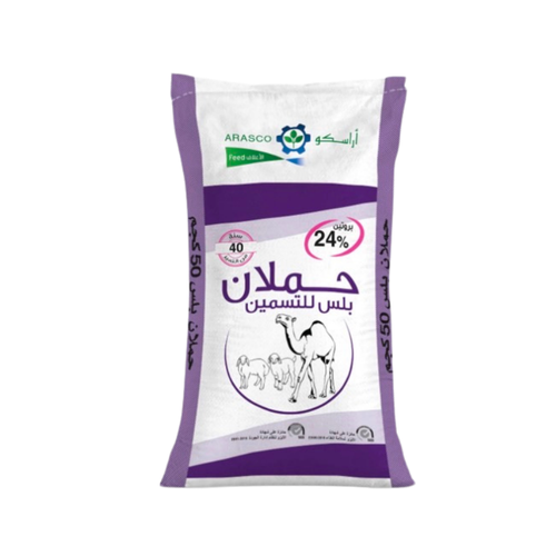حملان بلس للتسمين 