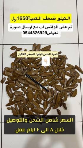 عود مروكي عرض جاكرتا 