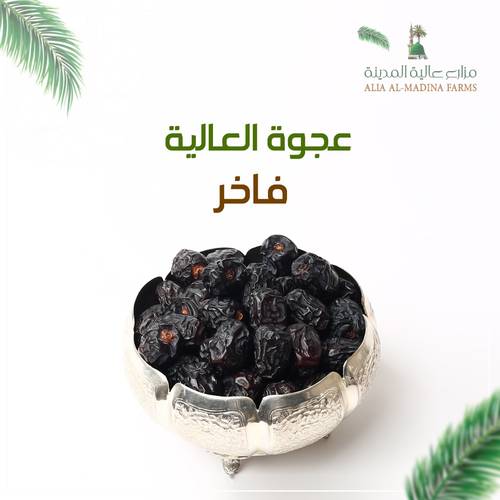 عجوة عالية المدينة فاخر