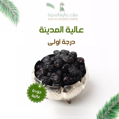 عجوة عالية المدينة (درجة أولى) وسط