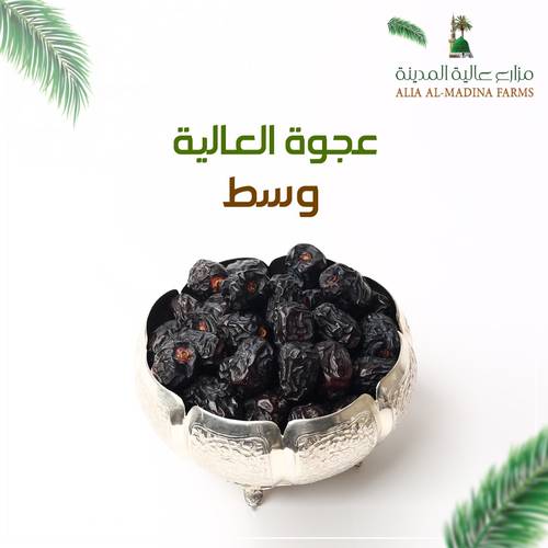 عجوة عالية المدينة وسط