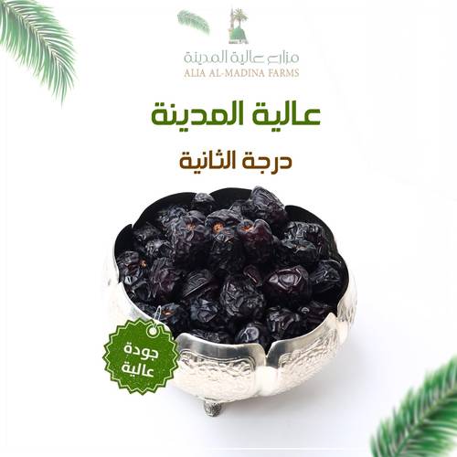  عجوة عالية المدينة (درجة ثانية) صغير