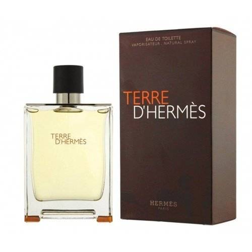 Hermes Terre d'Hermes Eau de Toilette 100ml