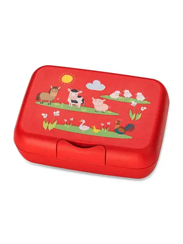 Lunch box with divider CANDY L FARM
