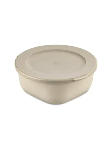 Box with lid CONNECT BOX 0.7 l
