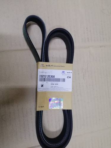RIBBED BELT-V