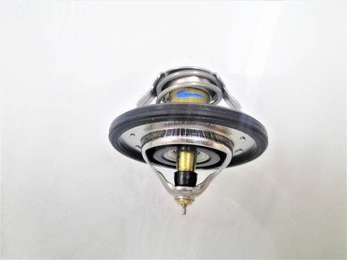 THERMOSTAT ASSY