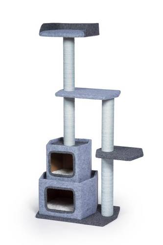 كات تري KITTY POWER PAWS 