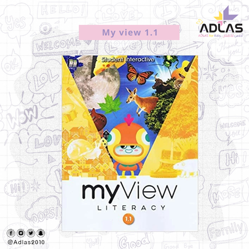 My view 1.1