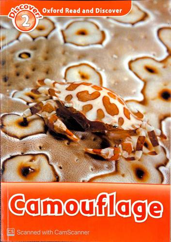 Camouflage