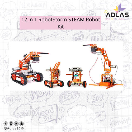 12 in 1 RobotStorm STEAM Robot Kit