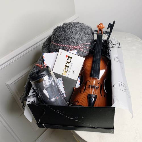 Violin Box