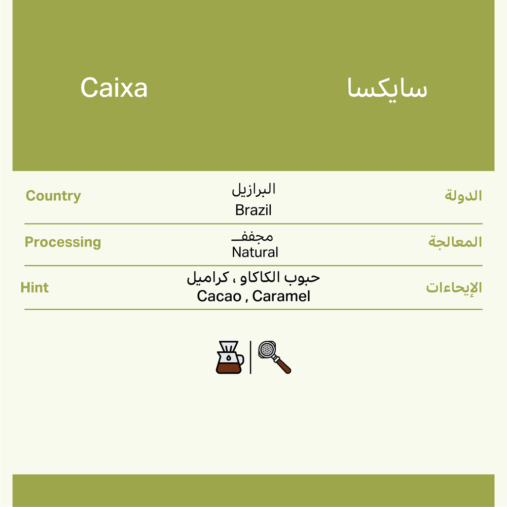 البرازيل | سايكسا
