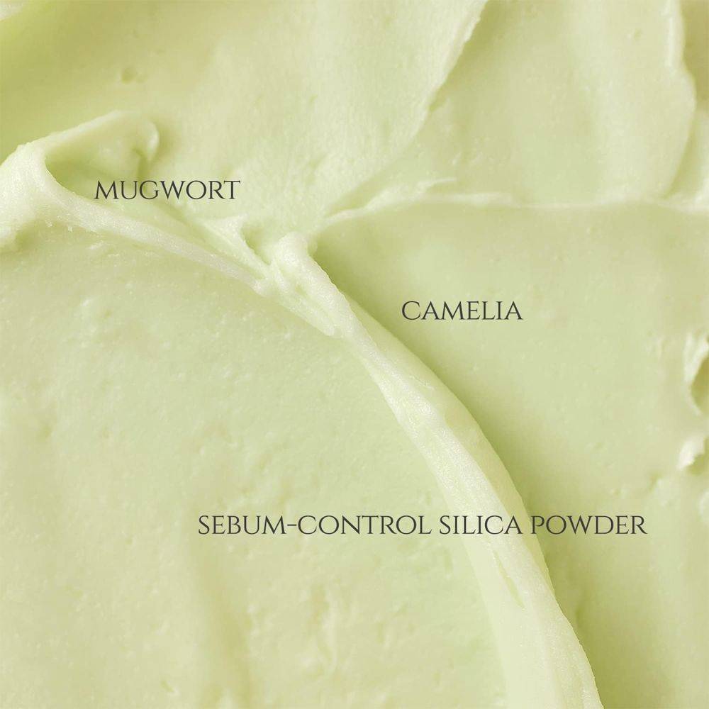 BEAUTY OF JOSEON Matte Sun Stick Mugwort+Camelia SPF 50+ (PA++++) - 18gm