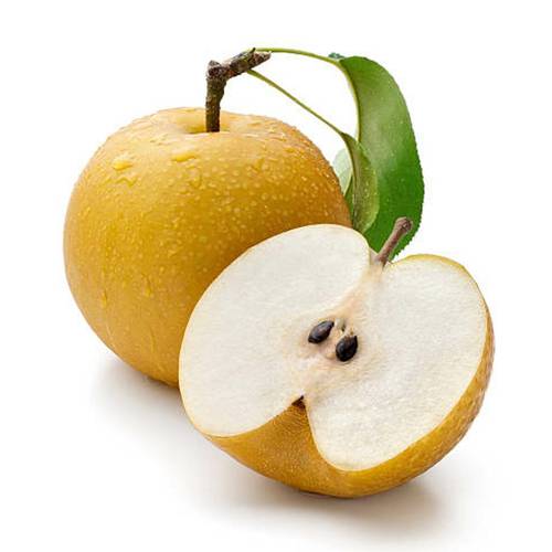 سفرجل