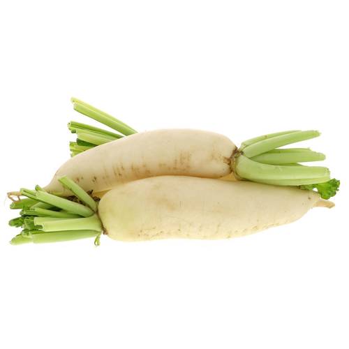 فجل ابيض