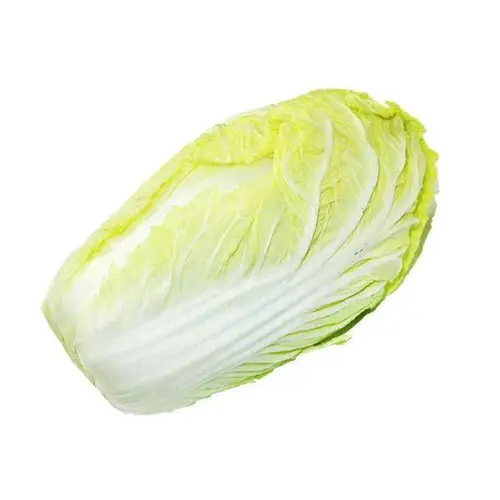 ملفوف صيني 