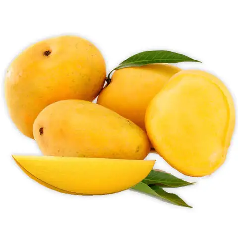 مانجو شاوسا