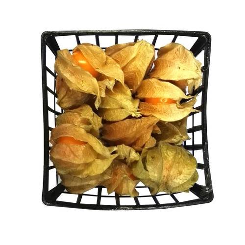 التوت الذهبي (حرنكش)  عبوة
