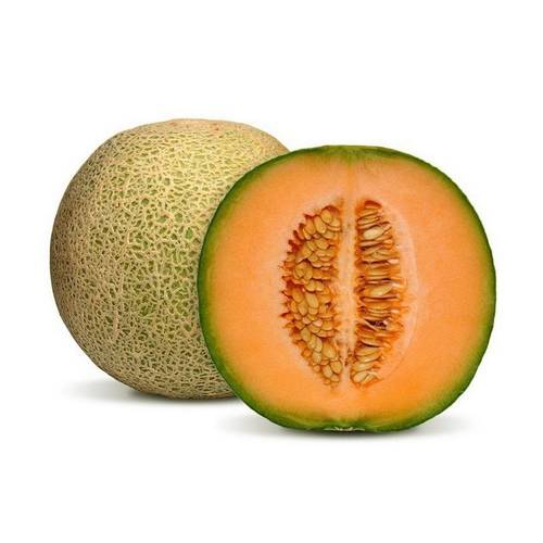 شمام صخري