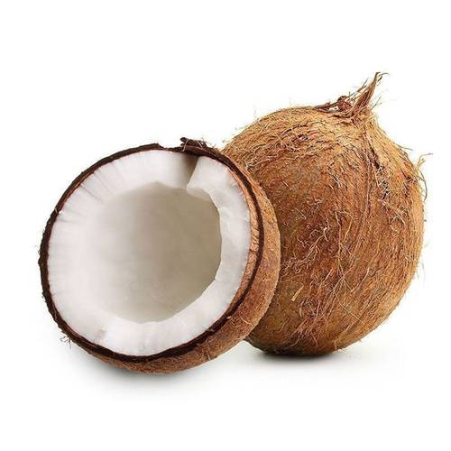 جوز هند هندي
