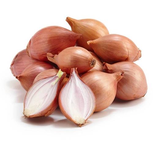 بصل صغير هولندي