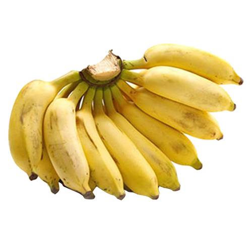 موز هندي صغير