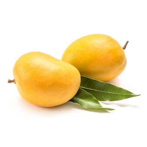 مانجو الفونسو