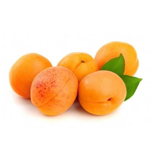 مشمش اردني