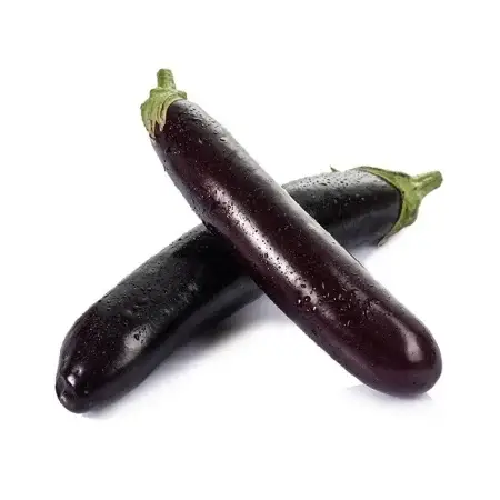 باذنجان طويل