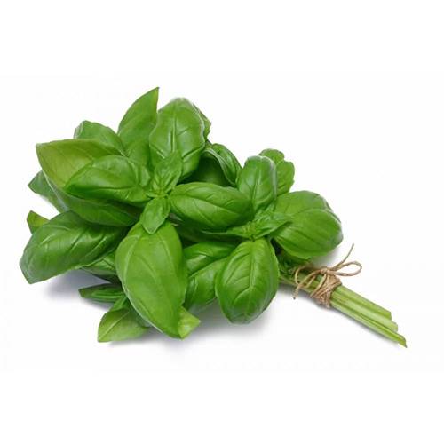 ريحان علبه