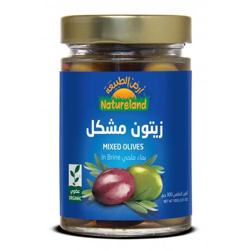 ارض الطبيعه زيتون مشكل بماء ملحي عضوي 300غ